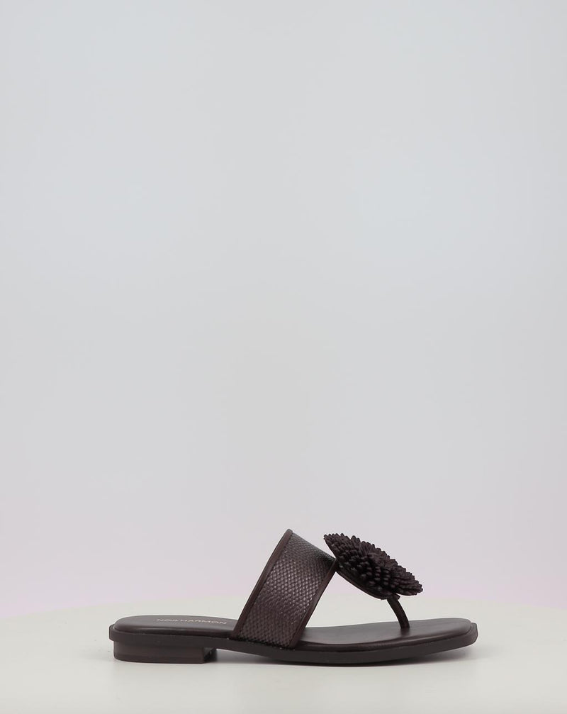 Sandalias NOA HARMON PETAL marrón