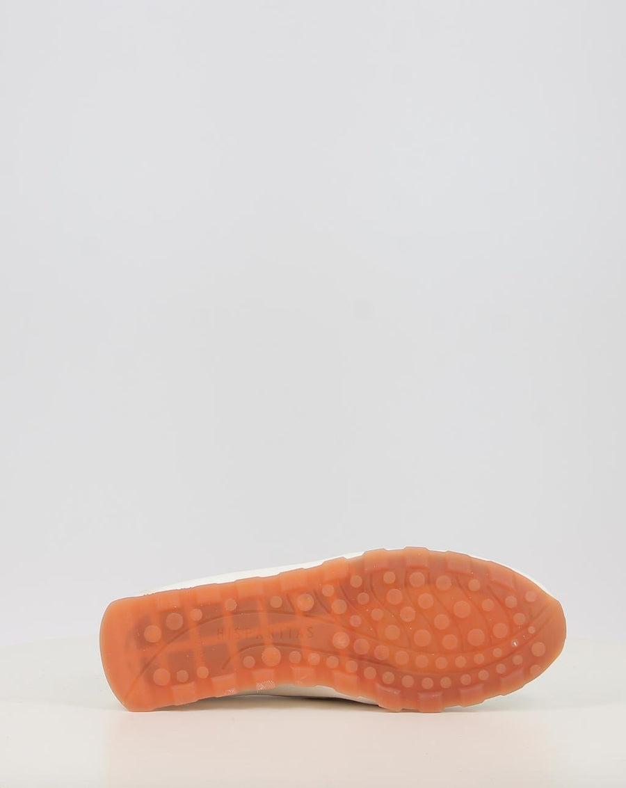 ZINNIA HV264603