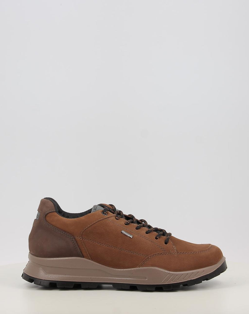 Zapatos IGI & CO U.ELOY GTX 86295 cuero