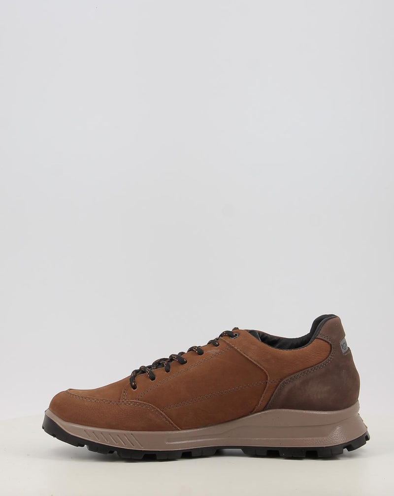 Zapatos IGI & CO U.ELOY GTX 86295 cuero