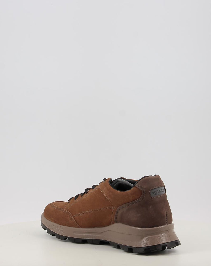Zapatos IGI & CO U.ELOY GTX 86295 cuero