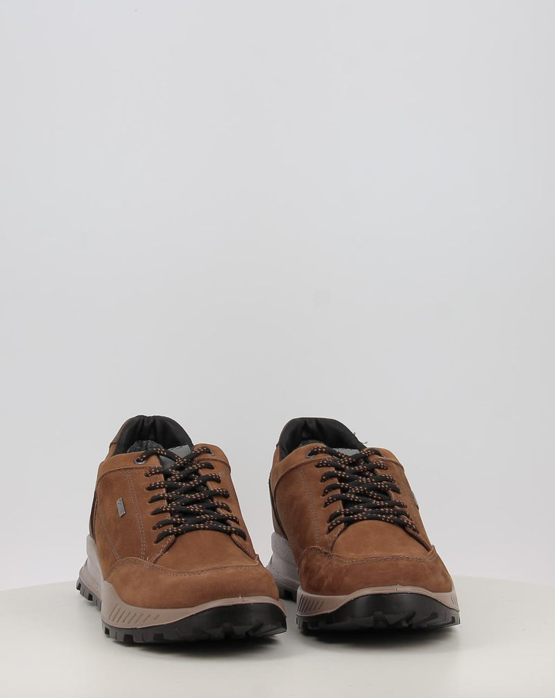 Zapatos IGI & CO U.ELOY GTX 86295 cuero