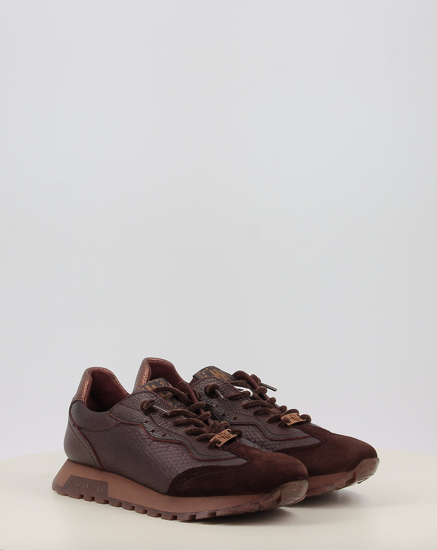 OREGON HI264955